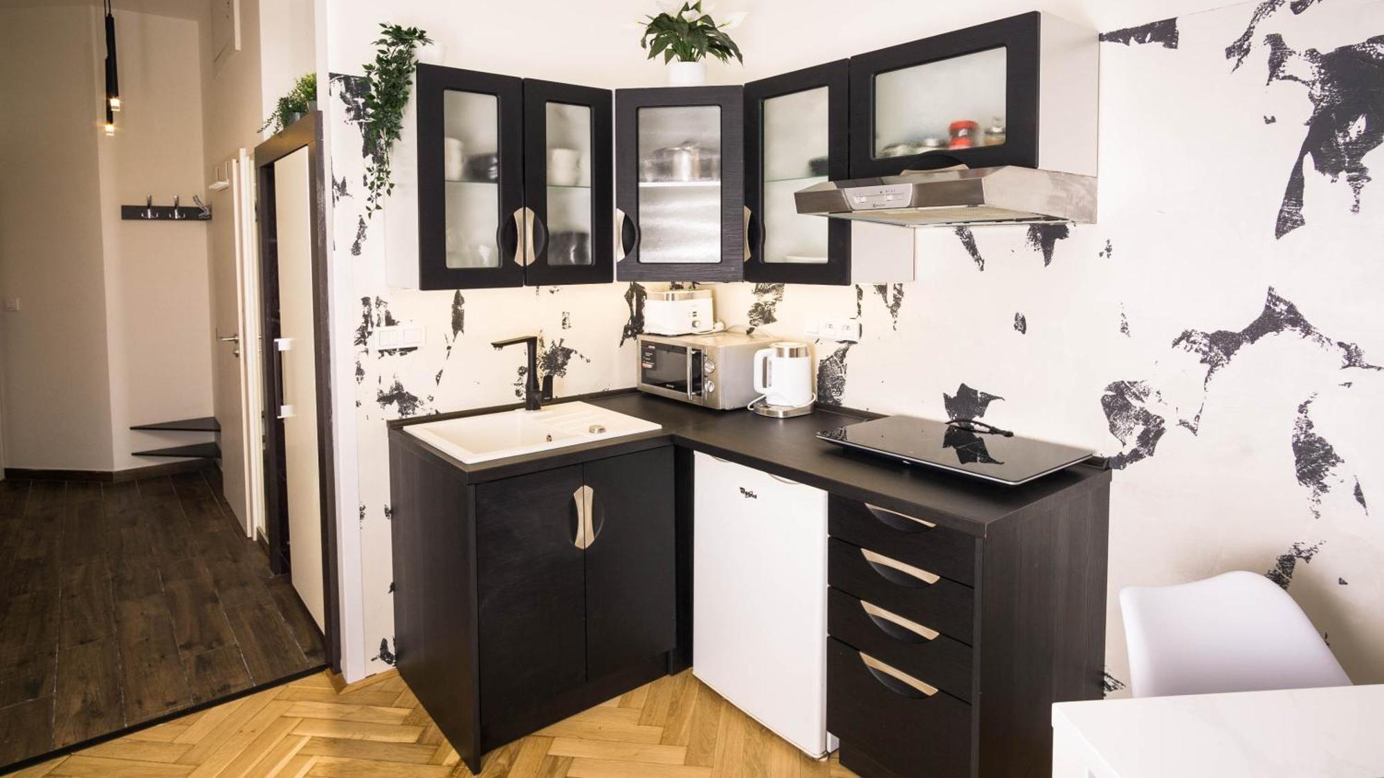 Black & White Apartment Prague By Wenceslas Square And Muzeum Praga Exterior foto
